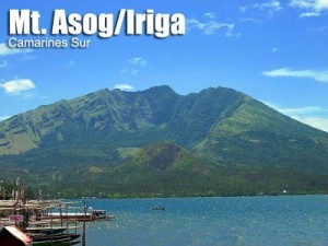 iriga