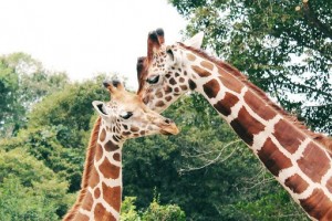 Biopark04