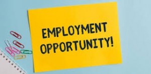 Employment- Travis AFB-logo