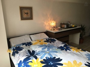 1 min from station/Pocket Wi-fi