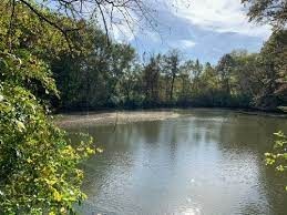 loop creek park belleville il scott afb- lake