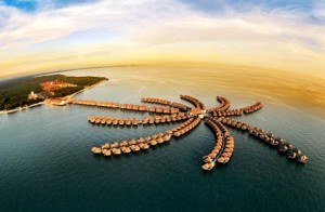 4N GOLDEN PALM TREE ICONIC - SBI