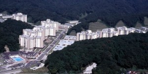 Ikego