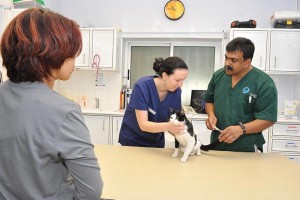 Dr. Nonie Coutts - O/S Vet in Adliya