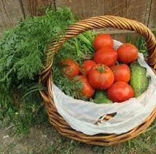 Newport Farmers Market WA-basket