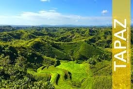 tapaz