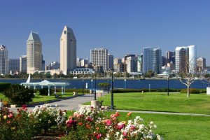 Centennial Park Coronado-flowers