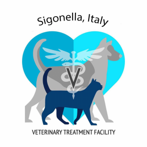 Sigonella Veterinary Clinic in Catania, Italy