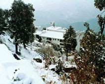 Sterling Pine Hill, Mussoorie