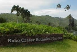 koko crater botanical garden- sign