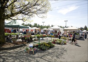 Federal Way Farmers Market-location