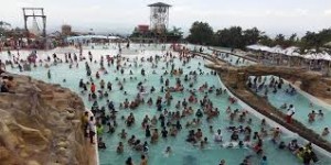 campuestohan1