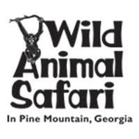 Wild Animal Safari -explore