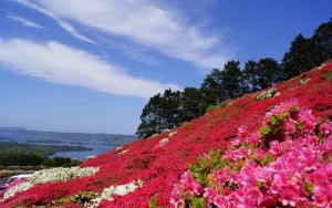 Saikai National Park