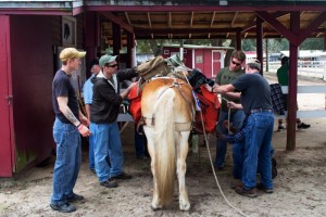 Eglin AFB Sand and Spur Riding Club