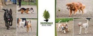 Silverdale Dog Park-fur