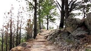 hanson-larsen memorial park- trecking hanson-larsen memorial park- trecking