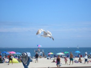 Ocean Beach Park in Connecticut
