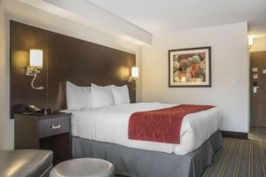 Quality Inn Kingsville-red blanket