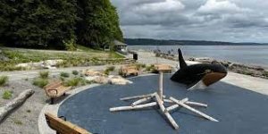 Owen Beach-JB Lewis-McChord-whale