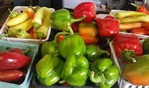 Bastrop 1832 Farmers Market-bell pepper