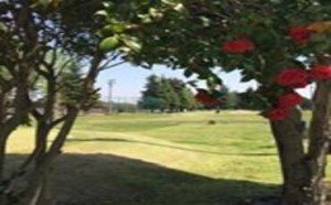 Par 3 golf course