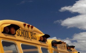 School bus School bus