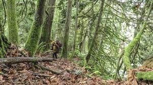 Kitsap County Anderson Landing Park-hiking