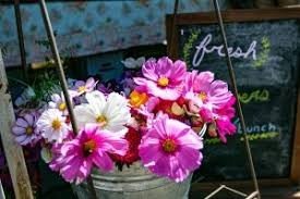 anacortes farmers market-flowers