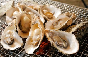 42202ba2212068411001