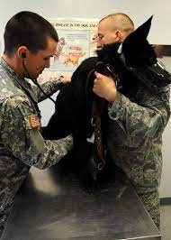 VETERINARY SERVICES- NSA BETHESDA-2
