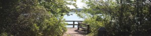 Sail Pointe Park Kings Bay lake