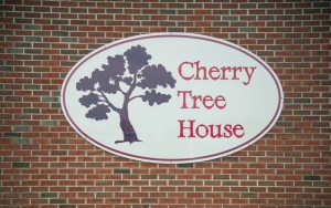 cherry-tree-house001