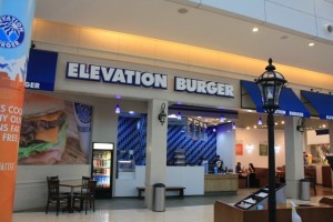 Elevation Burger