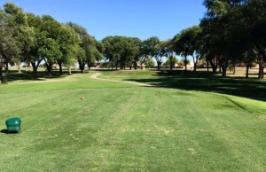 Whispering Winds Golf Course-Cannon AFB-grass