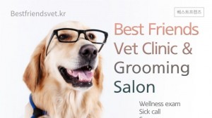 Best Friends Vet Clinic and Grooming Salon Banner in Osan, South Korea
