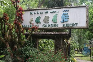 Malagos Garden Resort