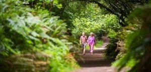 Oak Tree Park in Tacoma, Washington State