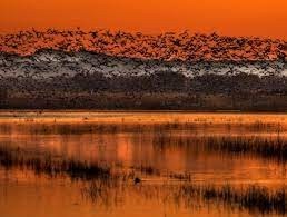 San Pablo Bay National Wildlife Refuge- Travis AFB- sunset