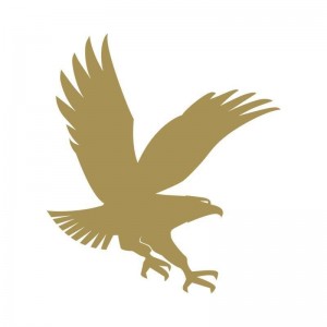 Embry-Riddle Aeronautical University Logo in Colorado, Colorado Springs