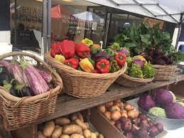 chehalis community farmers-bellpepper