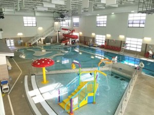 Polar Paradise Pool