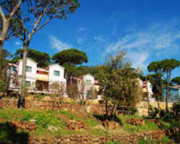 Pineland Resort and Country Club