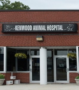 Kenwood Animal Hospital Inc bethesda-location