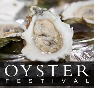 oyster festival