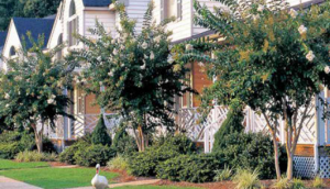 The Historic Powhatan Resort