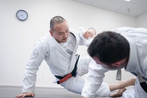 Shorinji Kempo Karate1