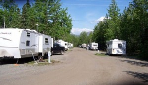 Black Spruce Campground