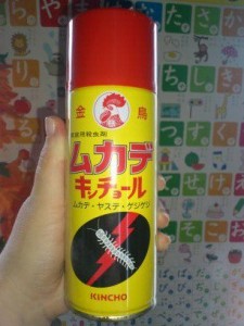 531340_3820735960630_758692706_n