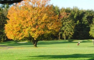 rugggles golf cours - 1